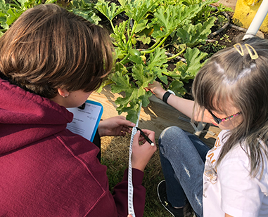 Two students study plants together