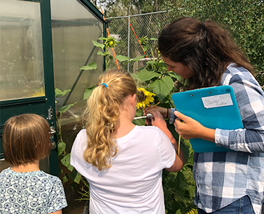 Teacher and two students study sunflowers together